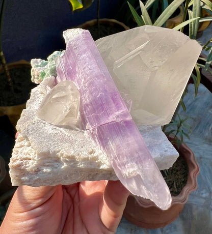 Kunzite with Quartz on matrix from Afghanistan, 740 gram