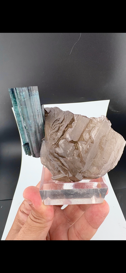 Indicolite Tourmaline on Smoky Quartz – Blue Pink Tourmaline Crystal Specimen, Paprok Afghanistan, 200 gram