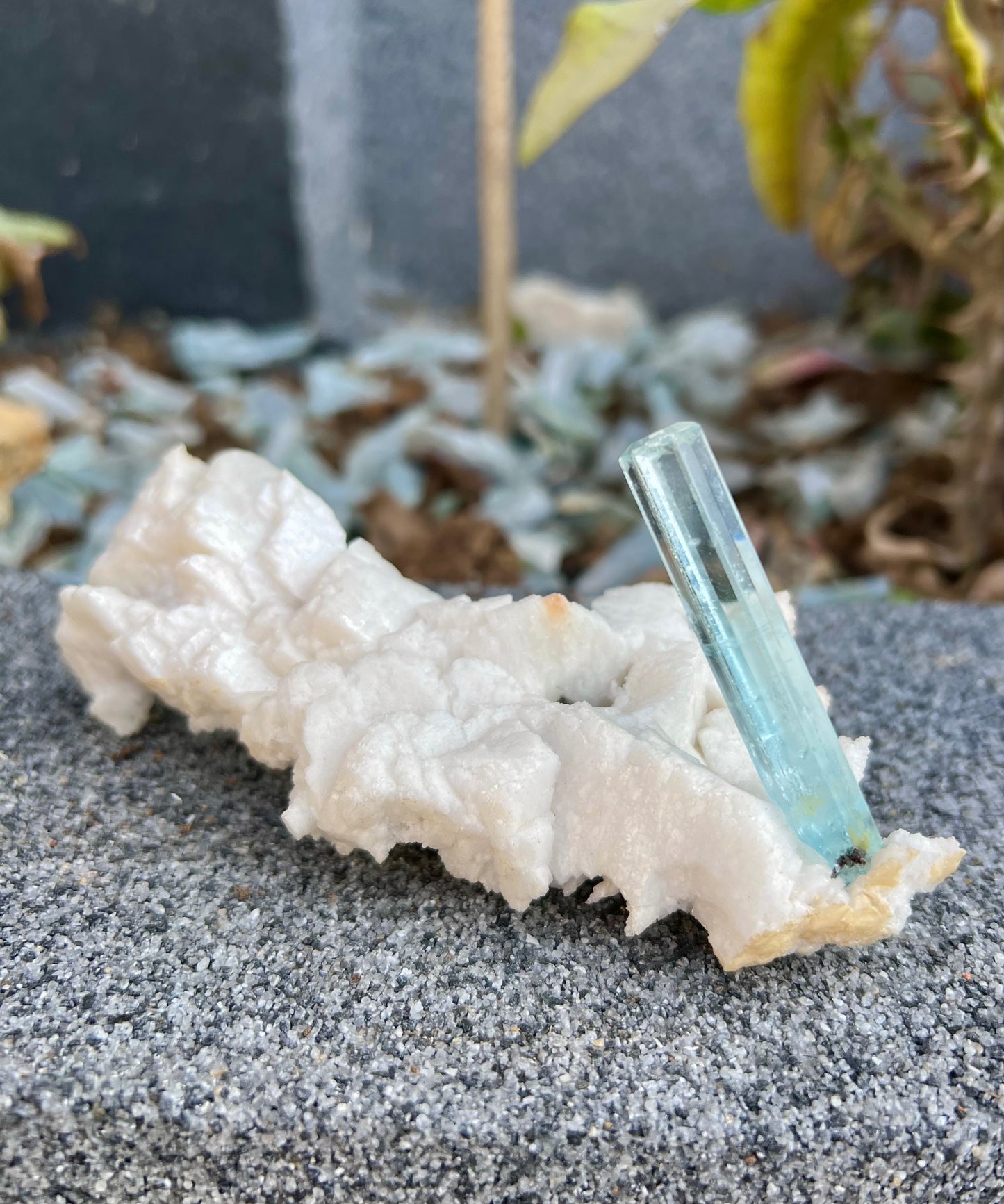 Aquamarine crystal on Albite from Pakistan, 107 gram
