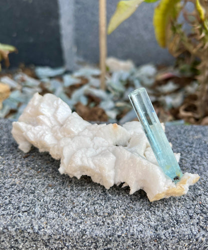 Aquamarine crystal on Albite from Pakistan, 107 gram