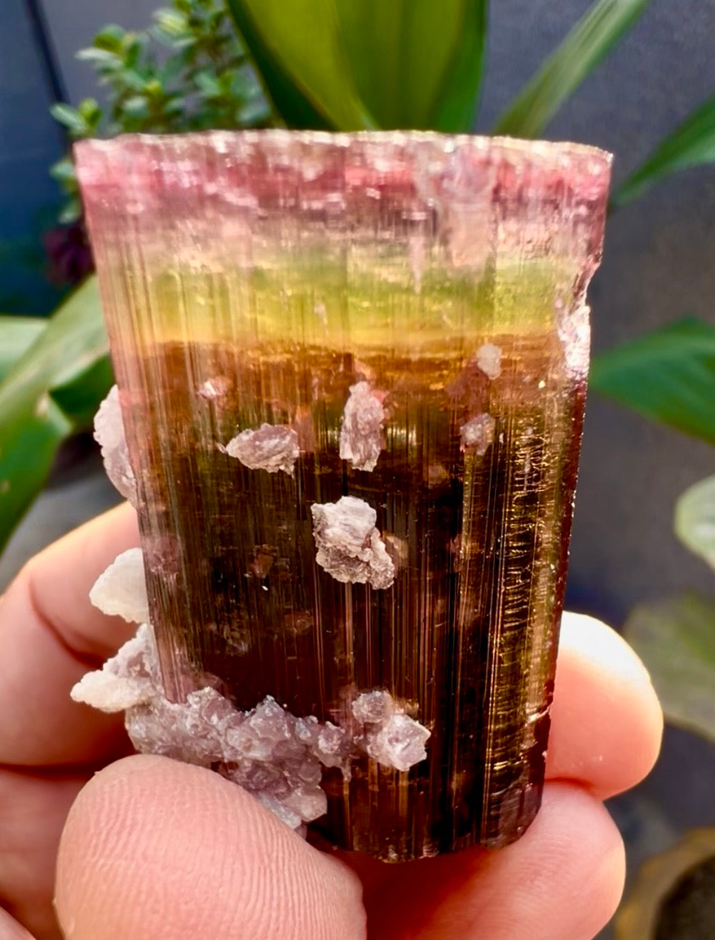 Tourmaline crystal with Lepidolite from Afghanistan, 55 gram