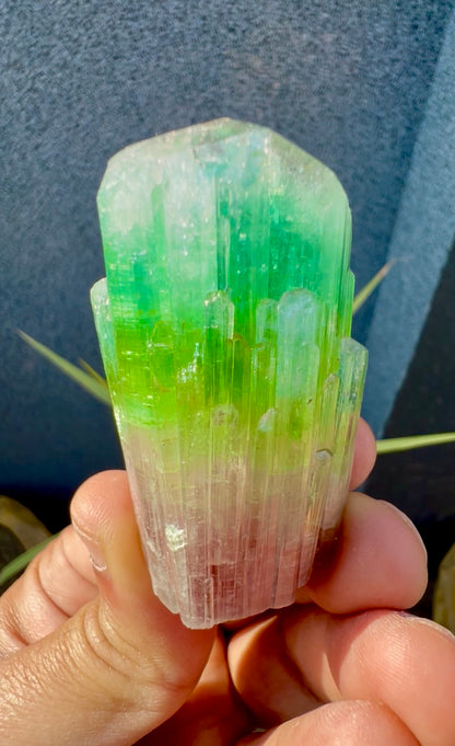Multicolor Tourmaline Crystal from Paprok  - 76 gram