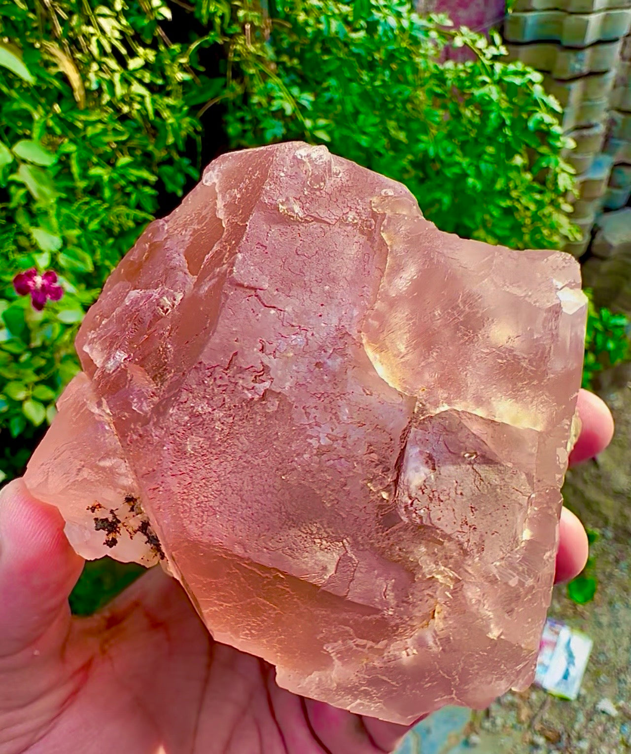 Pink Fluorite on Mica from Pakistan, 1127 gram