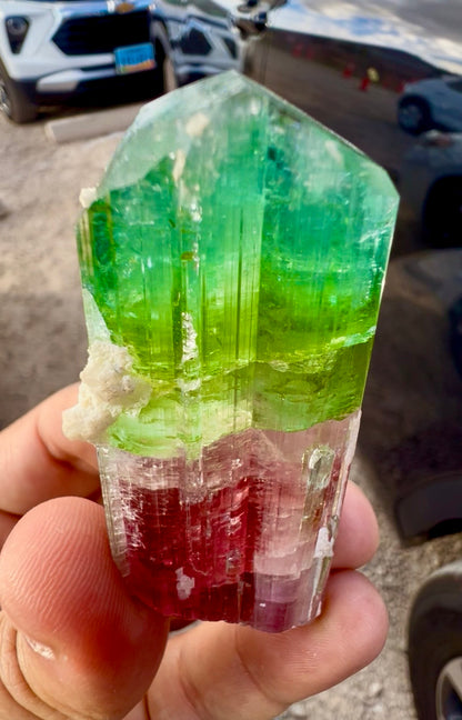 Watermelon Tourmaline Crystal with Lepidolite and Microlite from Paprok, 78 gram