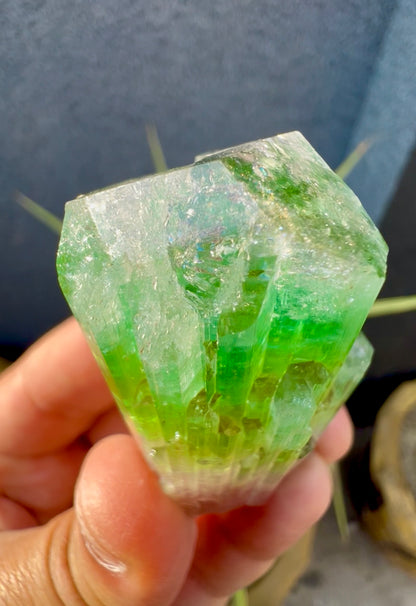 Multicolor Tourmaline Crystal from Paprok  - 76 gram