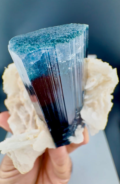 Blue Cap Tourmaline with Cleavlandite Albite from Afghanistan, 310 gran