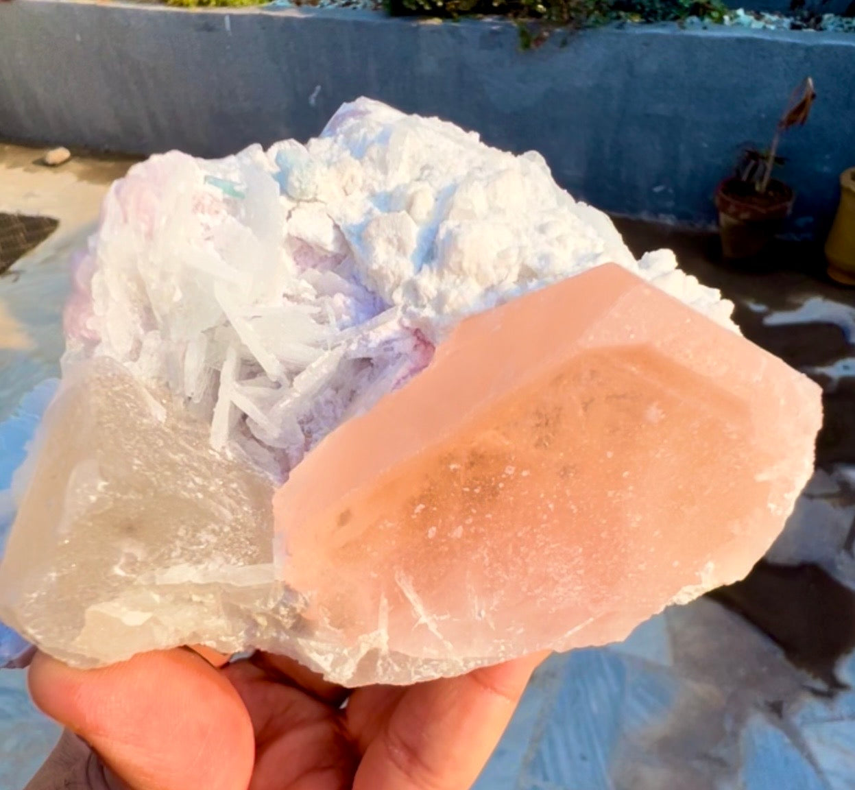 Morganite with Lepidolite, Quartz and Cleavlandite albite specimen from Afghanistan, 406 gram