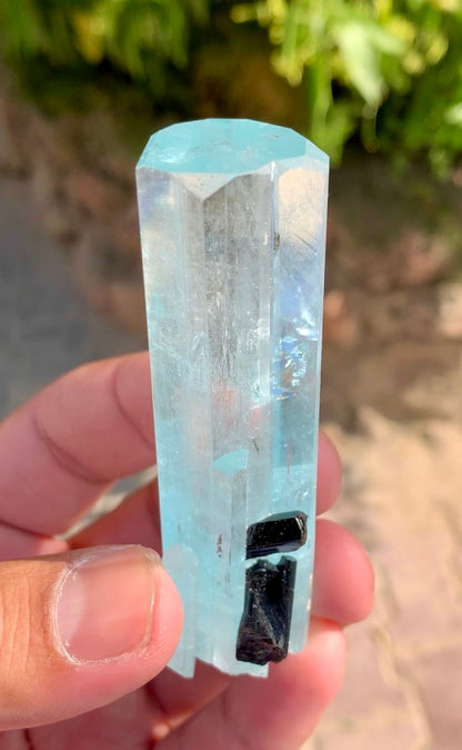 Aquamarine crystal with Schorl Tourmaline, 79 gram