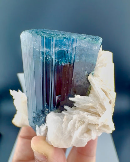 Blue Cap Tourmaline with Cleavlandite Albite from Afghanistan, 310 gran