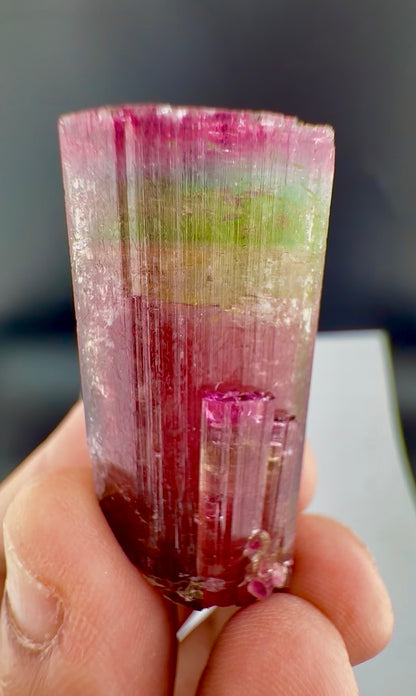 Rainbow Tourmaline crystal from Afghanistan, 125 carats