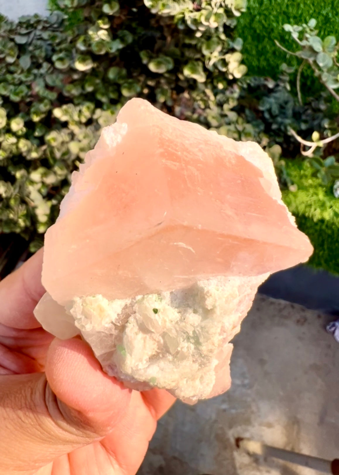 Morganite with Kunzite, Lepidolite and Quartz from Afghanistan, 154 gram
