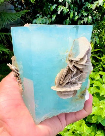Aquamarine crystal with Muscovite Mica from Pakistan, 1433 gram