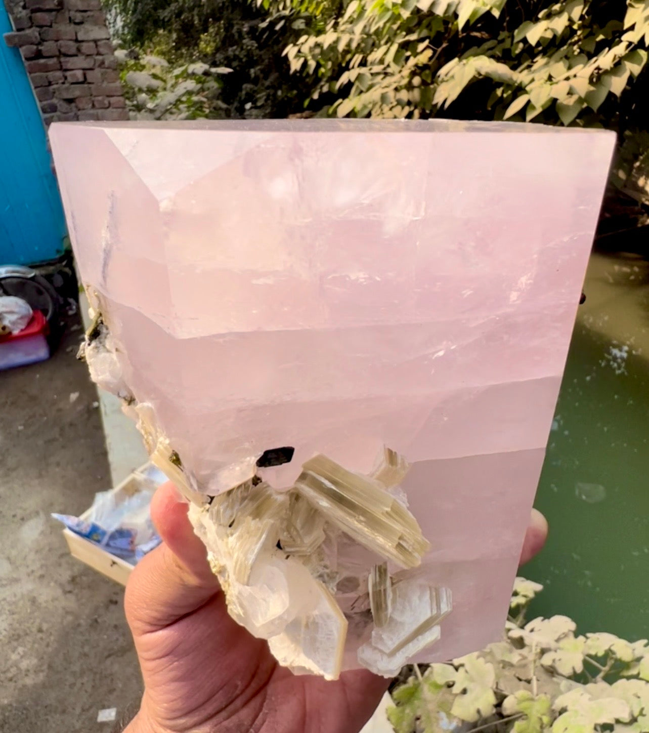 Pink Morganite crystal with Tourmalines and Mica from Pakistan, 2339 gram