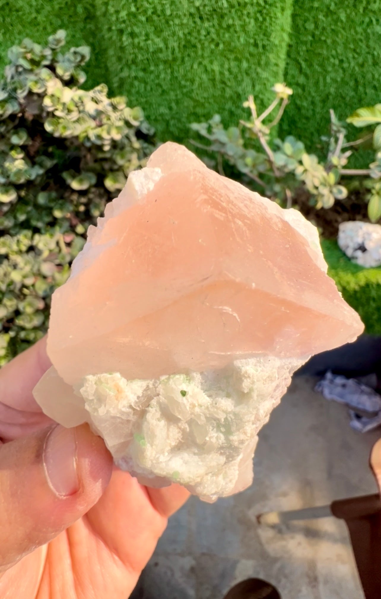 Morganite with Kunzite, Lepidolite and Quartz from Afghanistan, 154 gram