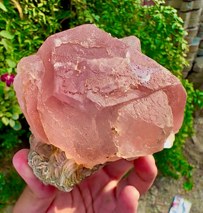 Pink Fluorite on Mica from Pakistan, 1127 gram