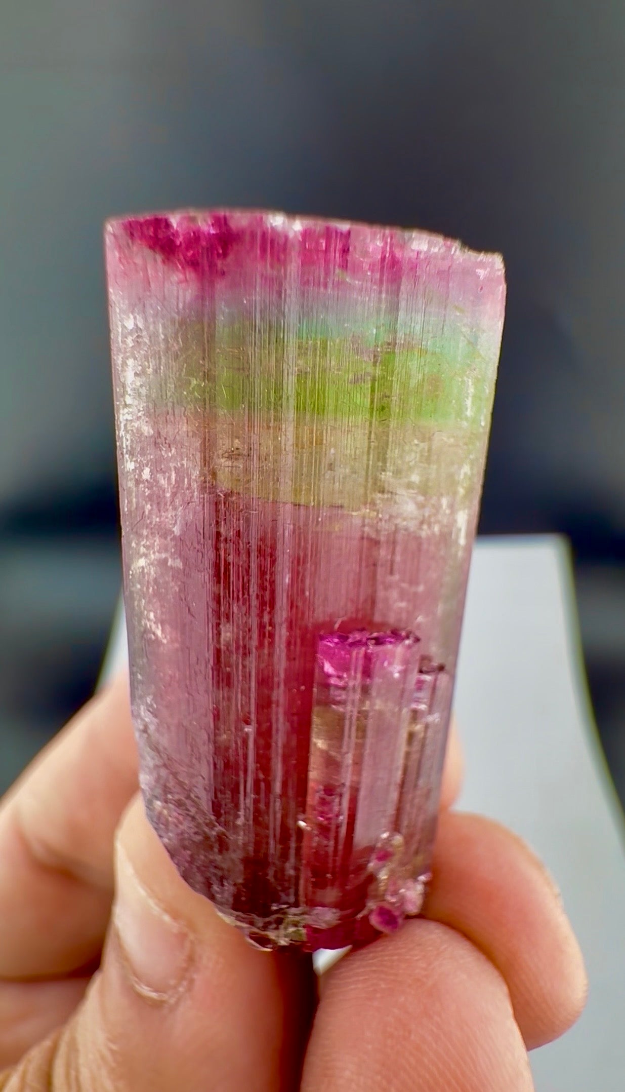 Rainbow Tourmaline crystal from Afghanistan, 125 carats