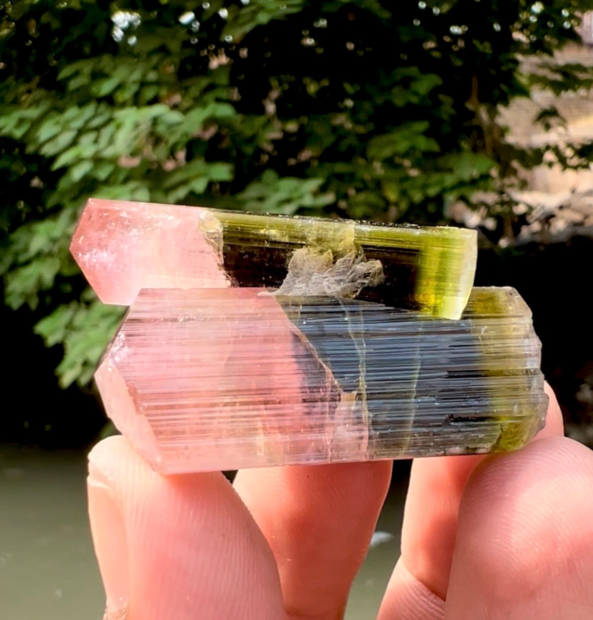 Tourmaline Crystal from Astak Nala Pakistan, 30 gram