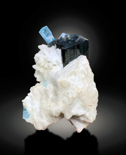 Black schorl tourmaline crystals beside aquamarine
Afghanistan aquamarine specimen mounted on base
Natural untreated aquamarine crystal specimen