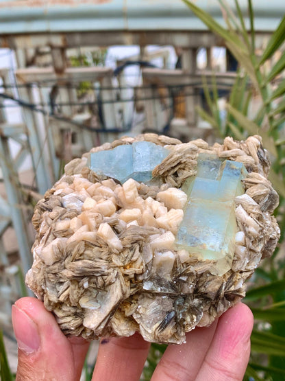 Aquamarine crystal dimensions 102 by 93 by 67 mm
Sky blue aquamarine crystal back angle view