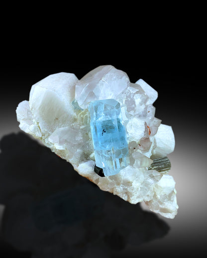 Collector grade aquamarine specimen from Pakistan
Aquamarine crystal lighting and transparency detail
Natural terminated crystal free of chips or damage
Self standing aquamarine schorl specimen full view
516 gram aquamarine crystal complete profile
Multi mineral aqu