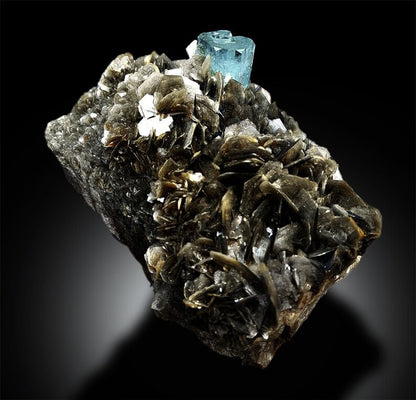 Top grade Pakistani aquamarine flagship collector specimen
Aquamarine specimen size comparison 260x175x135mm