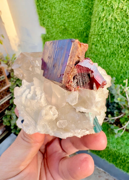 Tantalite, Indicolite Tourmaline, Morganite, Quartz and albite from Afghanistan, 244 gram