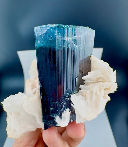 Blue Cap Tourmaline with Cleavlandite Albite from Afghanistan, 310 gran
