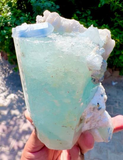 Aquamarine with Blue Indicolite Quartz and Albite from Afghanistan, 1277 gram