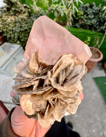 Pink Fluorite crystal on Mica, Fluorite Specimen from Pakistan, 355 Gram