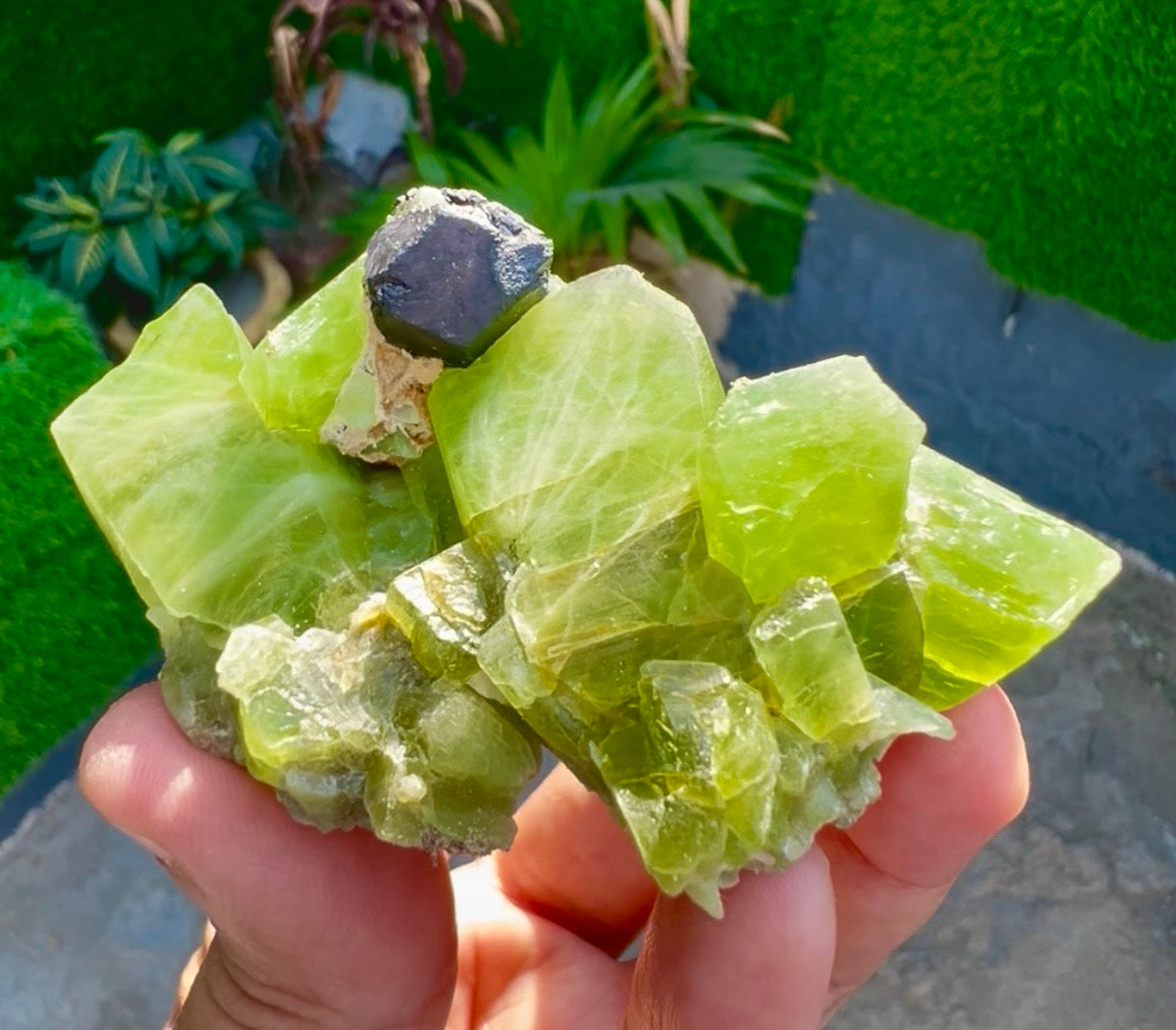 Peridot Crystals with Magnetite from Pakistan, 115 gram