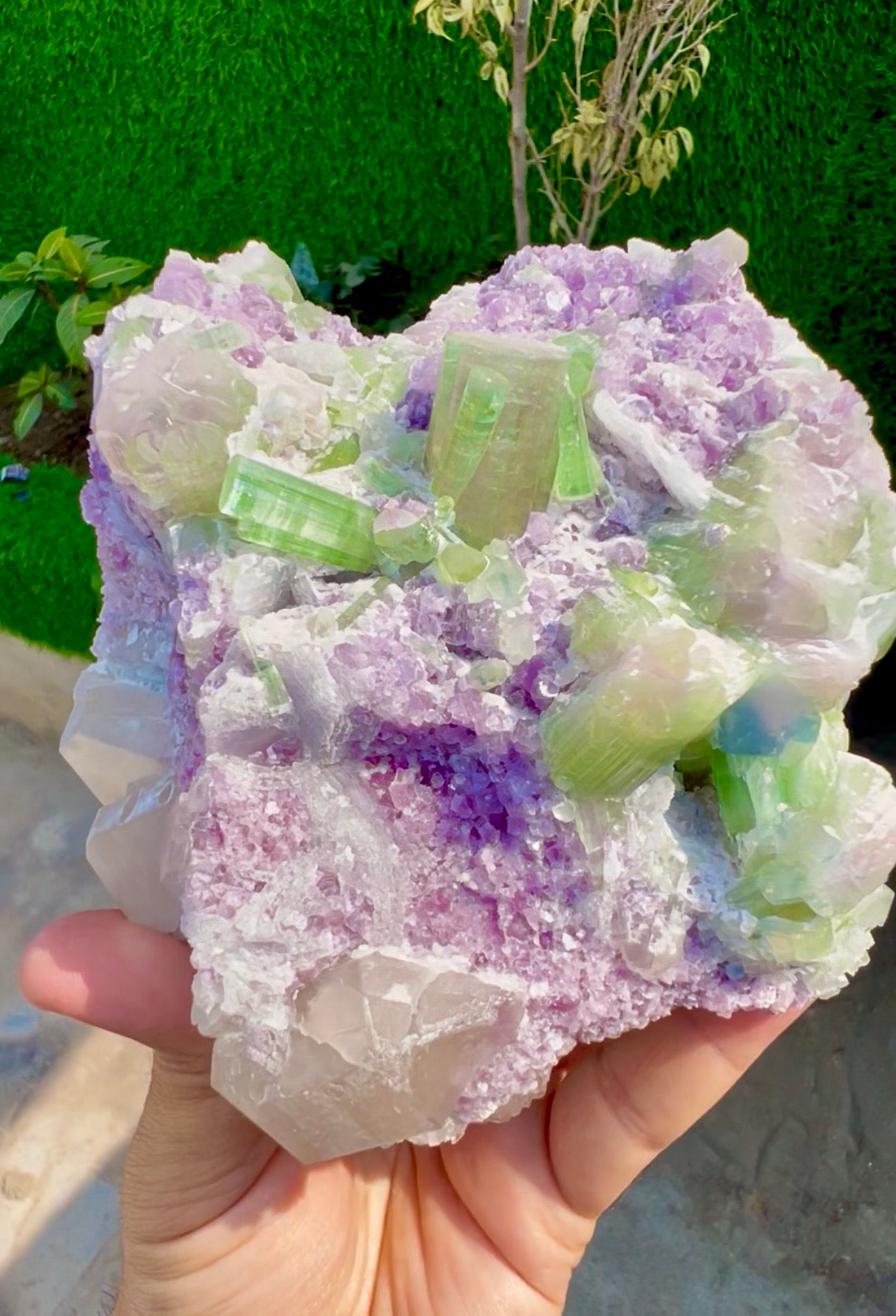 Watermelon Tourmaline Crystals with Lepidolite and Quartz from Paprok, 1300 gram
