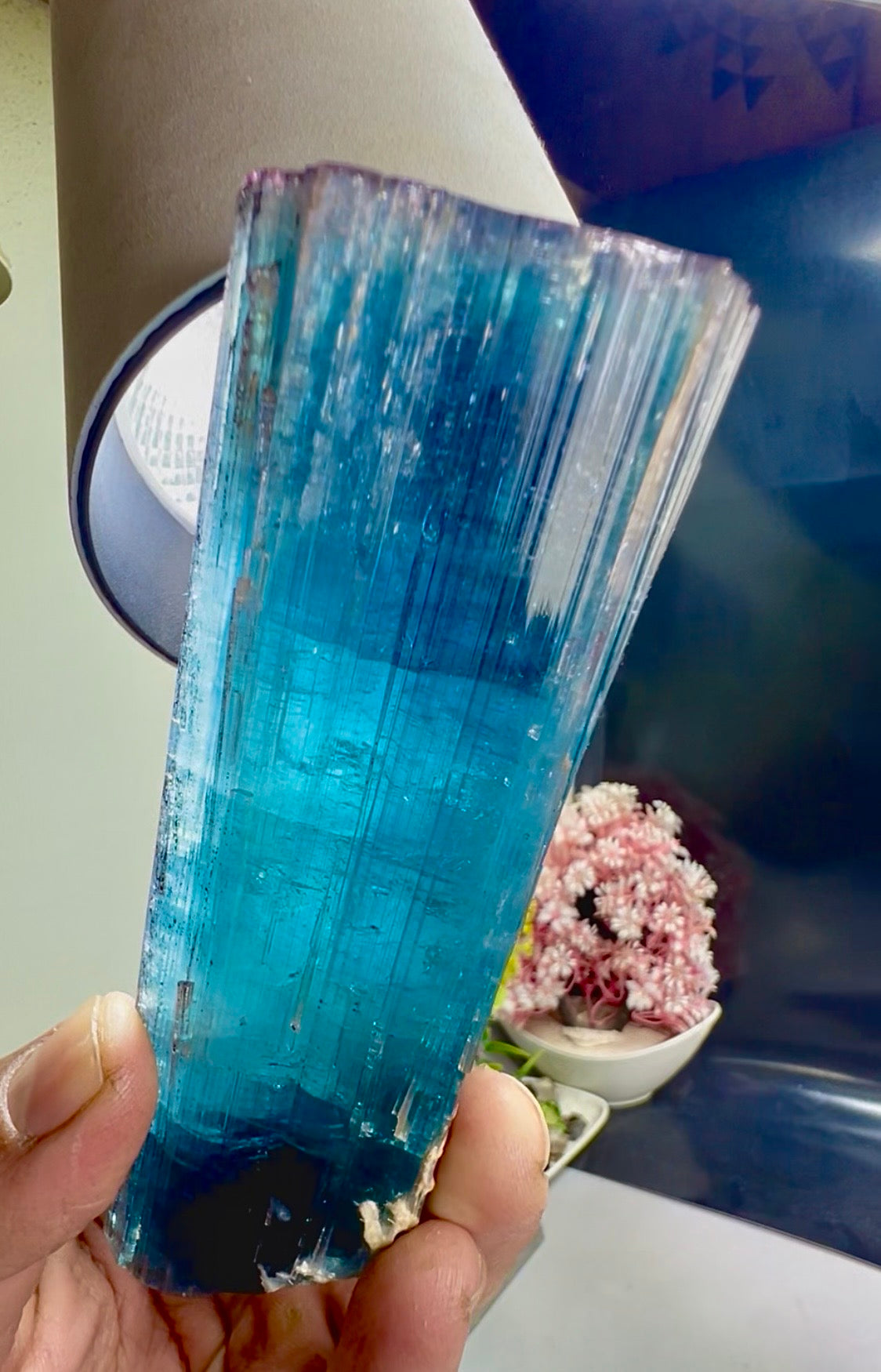 Pink Cap Indicolite Tourmaline crystal from Paprok Afghanistan , 381 gram