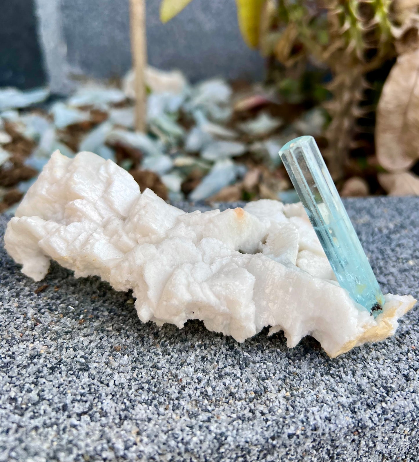 Aquamarine crystal on Albite from Pakistan, 107 gram