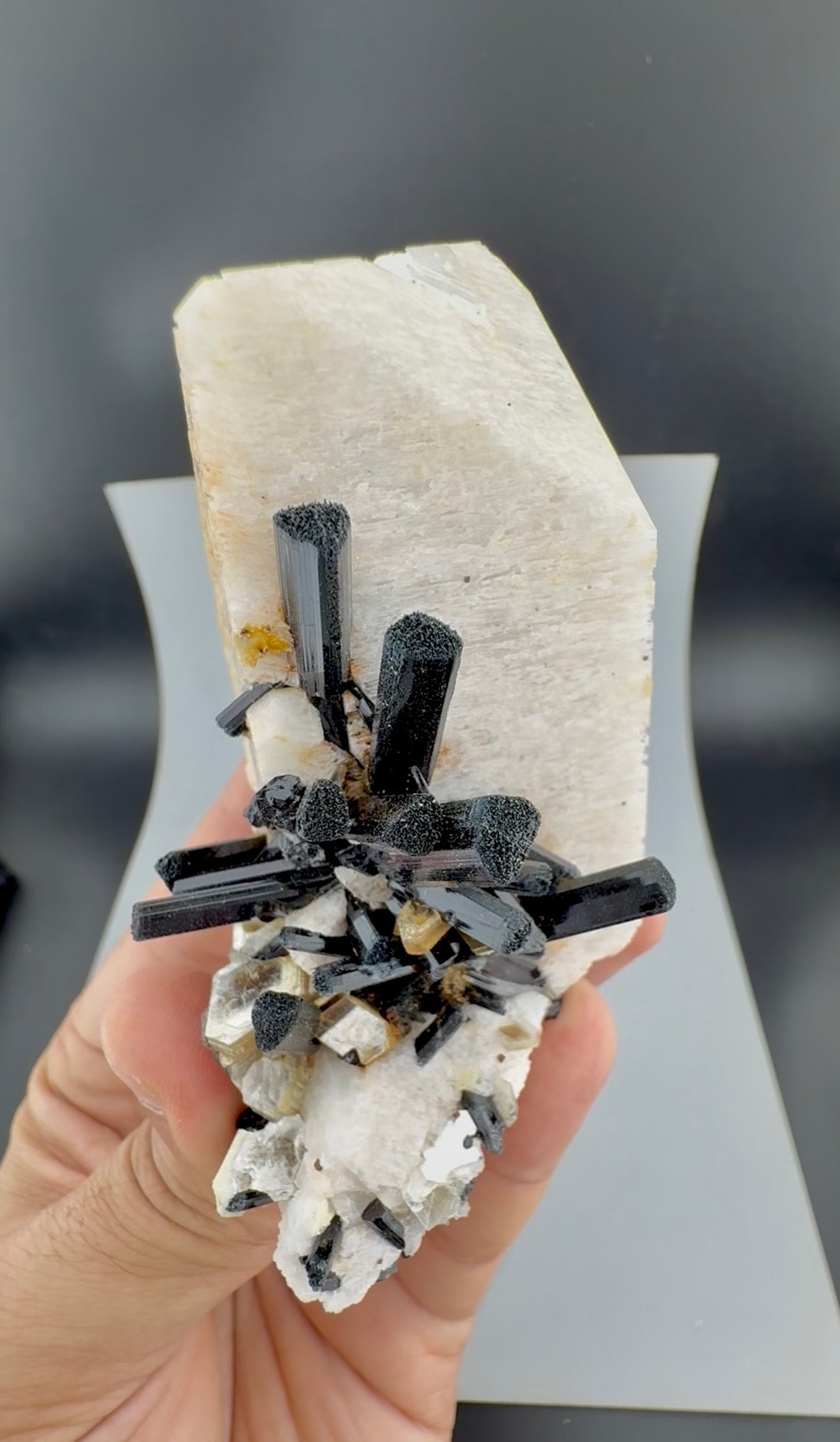 Schorl Tourmaline crystals on Microcline Feldspar from Pakistan, 186 gram