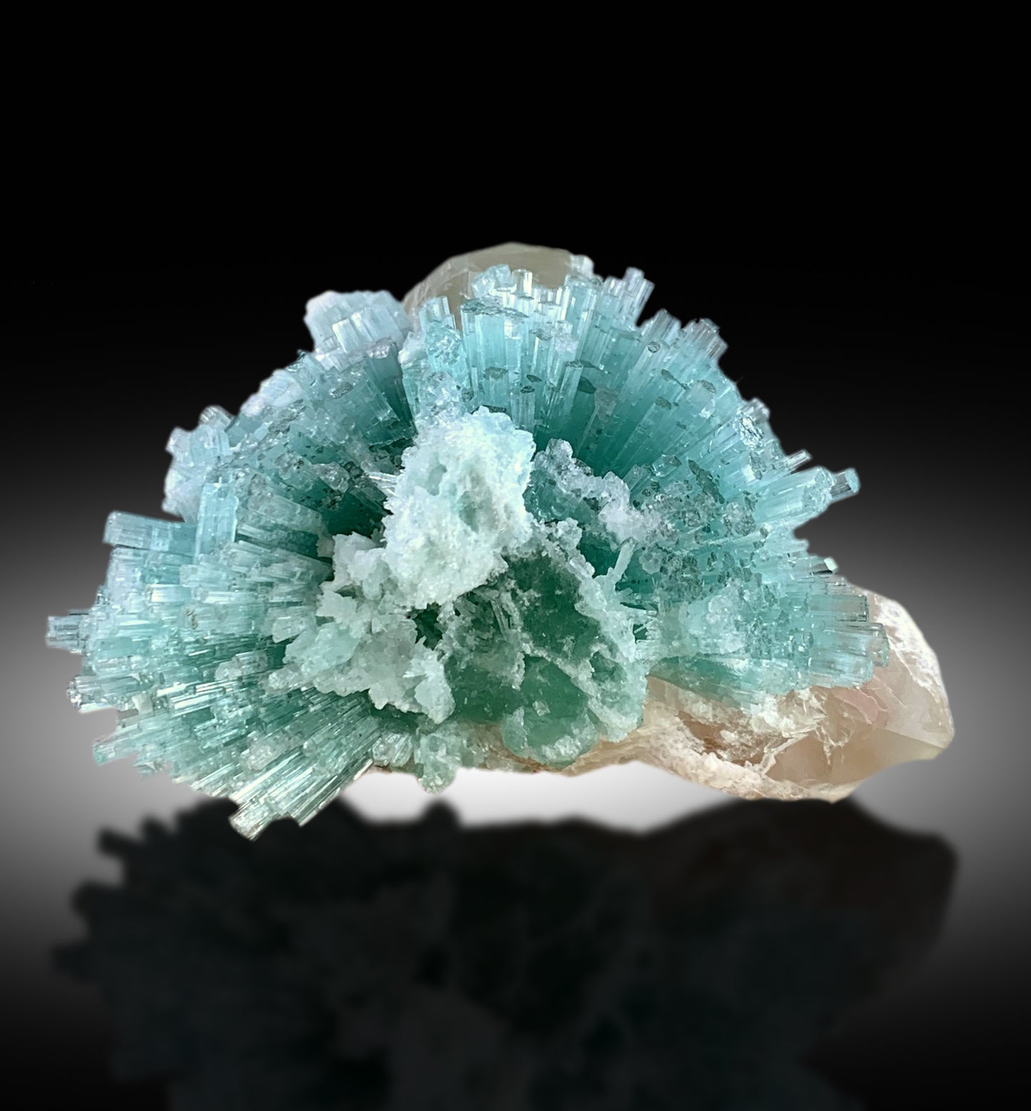 Quartz and Tourmaline crystal specimen
Blue green Tourmaline mineral specimen