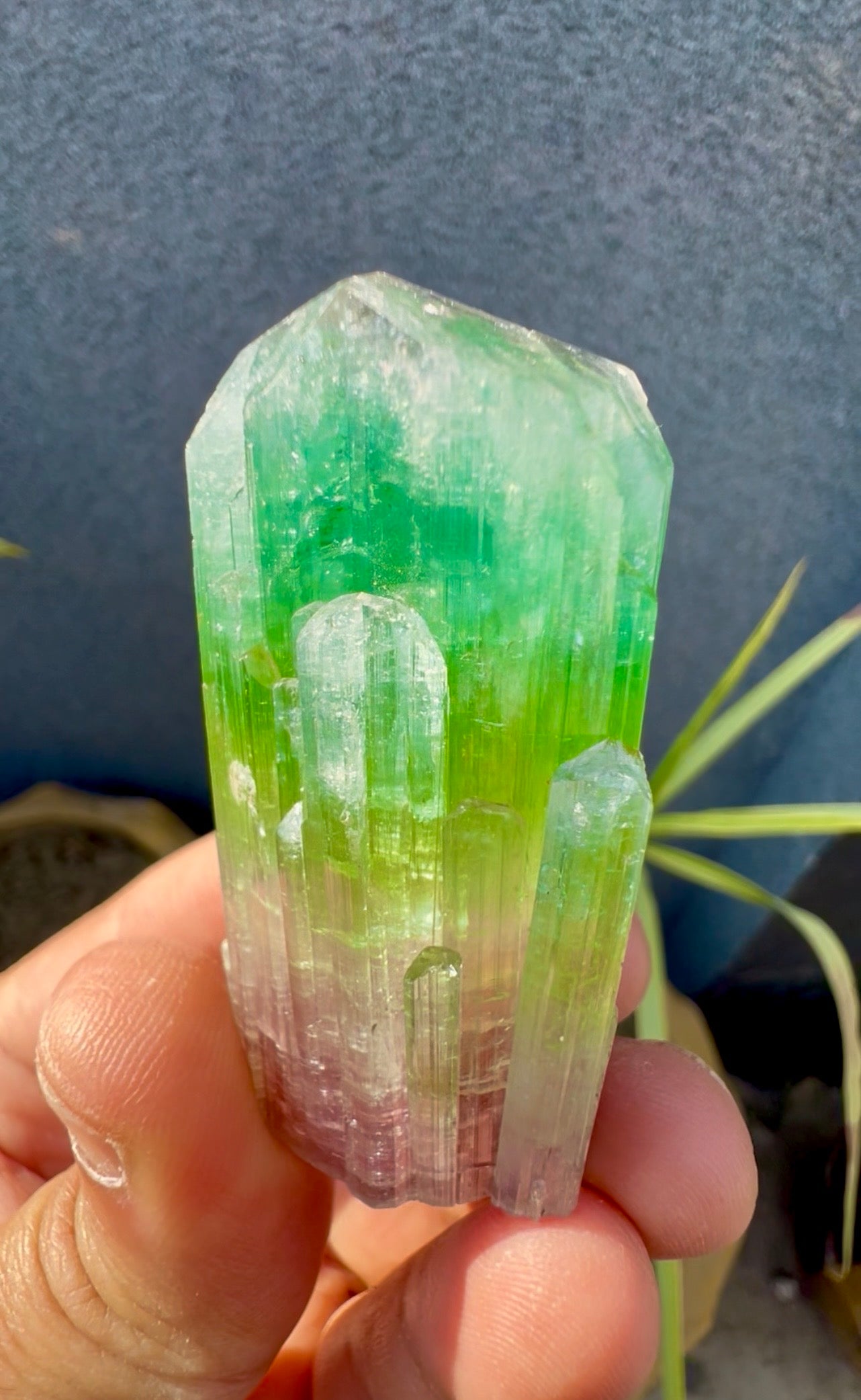 Multicolor Tourmaline Crystal from Paprok  - 76 gram