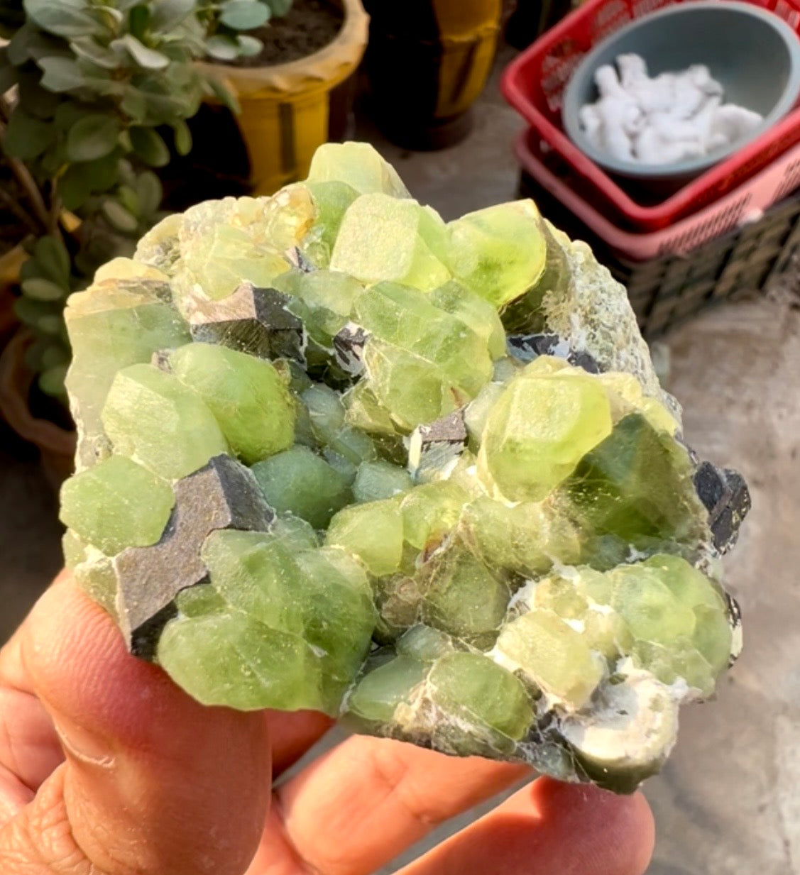 Peridot Crystals with Magnetite from Pakistan, 203 gram
