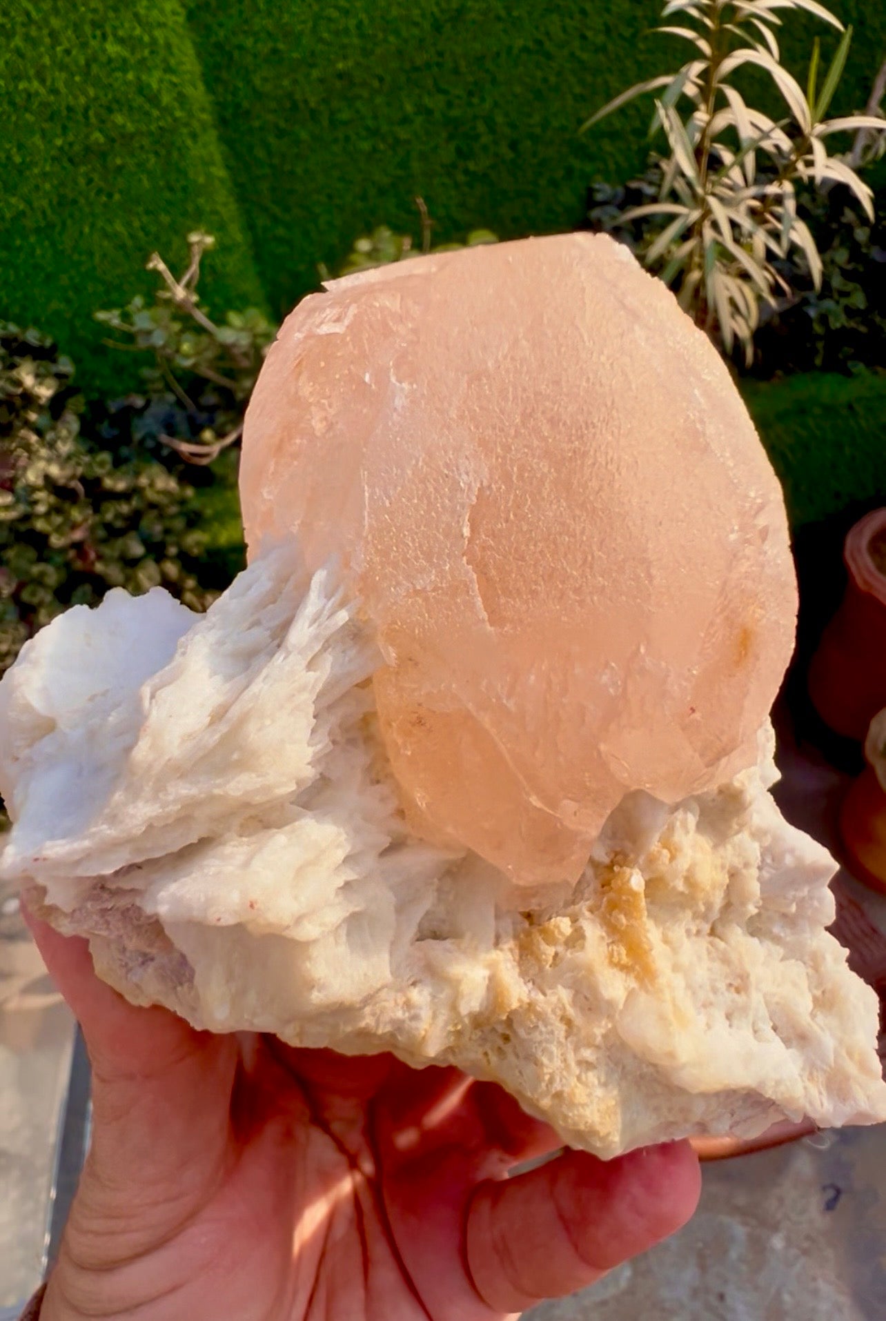 Morganite with Mica and Albite from Afghanistan, 699 gram