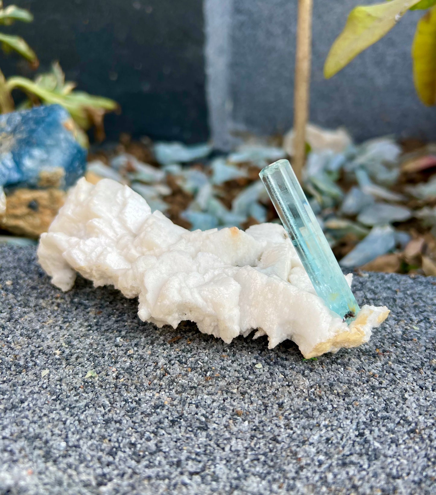 Aquamarine crystal on Albite from Pakistan, 107 gram