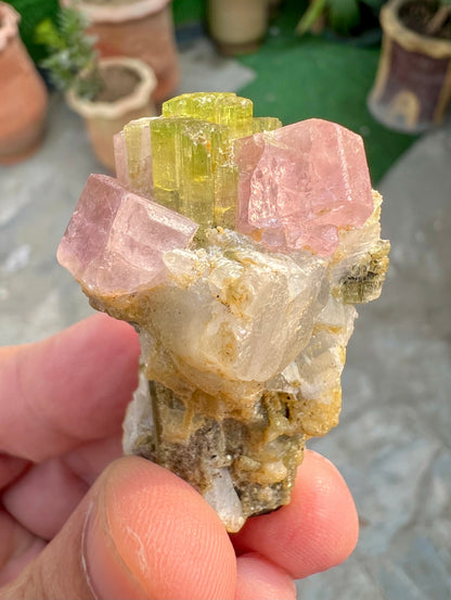Pink Apatite crystals on Tourmaine from Pakistan, 28 gram