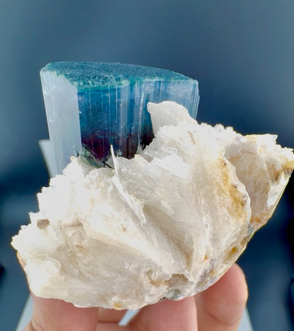 Blue Cap Tourmaline with Cleavlandite Albite from Afghanistan, 310 gran