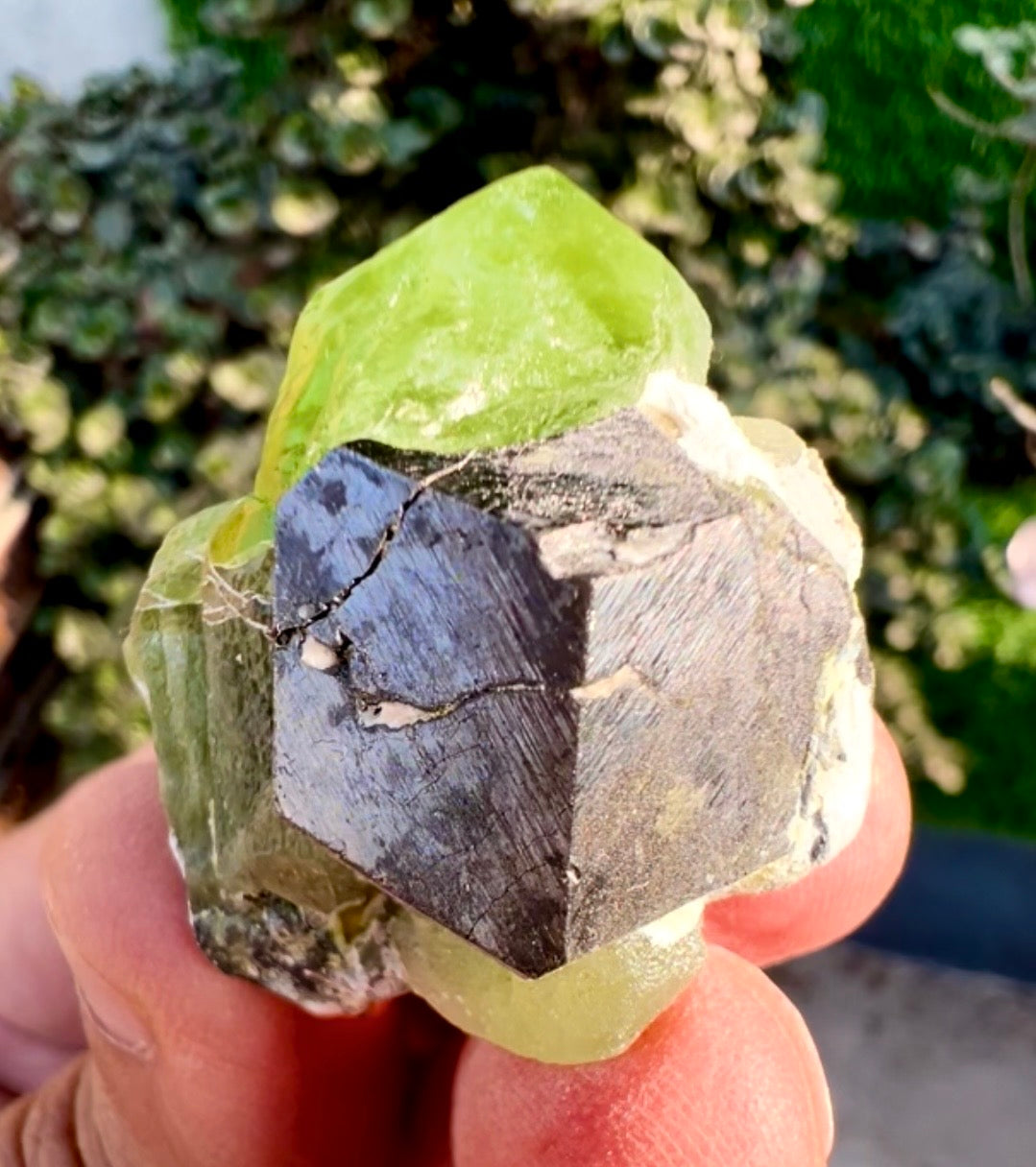 Peridot with Magnetite specimen from Pakistan, 28 gram