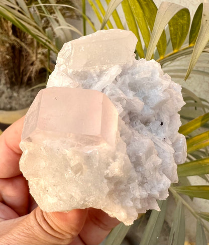 Morganite crysal with Quartz and Cleavlandite Albite from Afghanistan, 125 gram