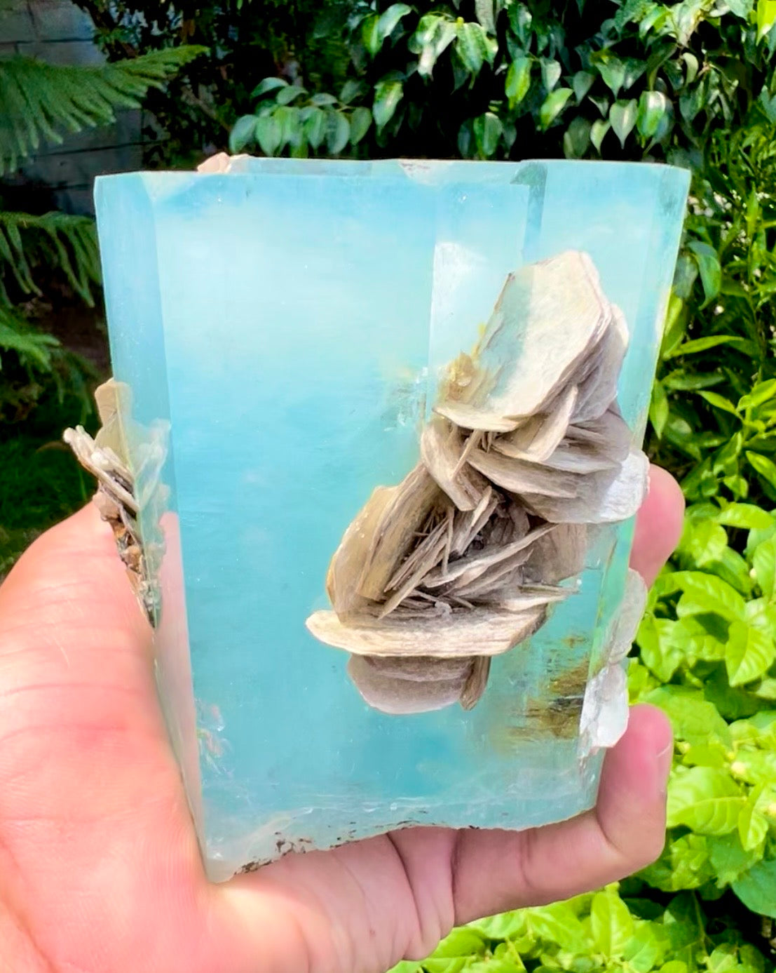 Aquamarine crystal with Muscovite Mica from Pakistan, 1433 gram