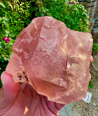 Pink Fluorite on Mica from Pakistan, 1127 gram