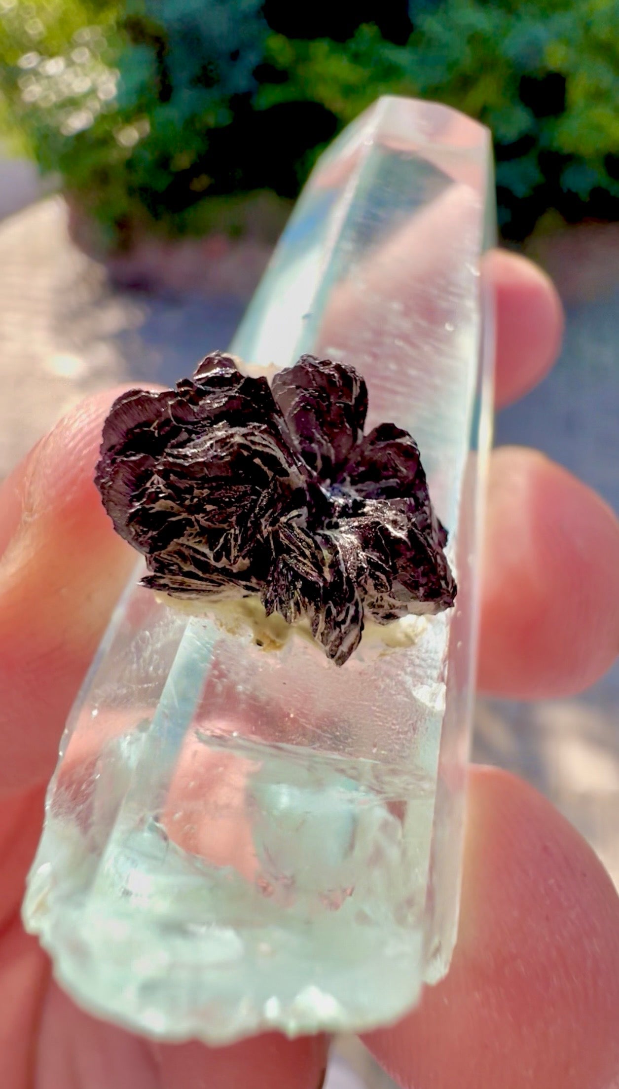 Aquamarine crystal with Hematite Flower from Pakistan, 48 gram