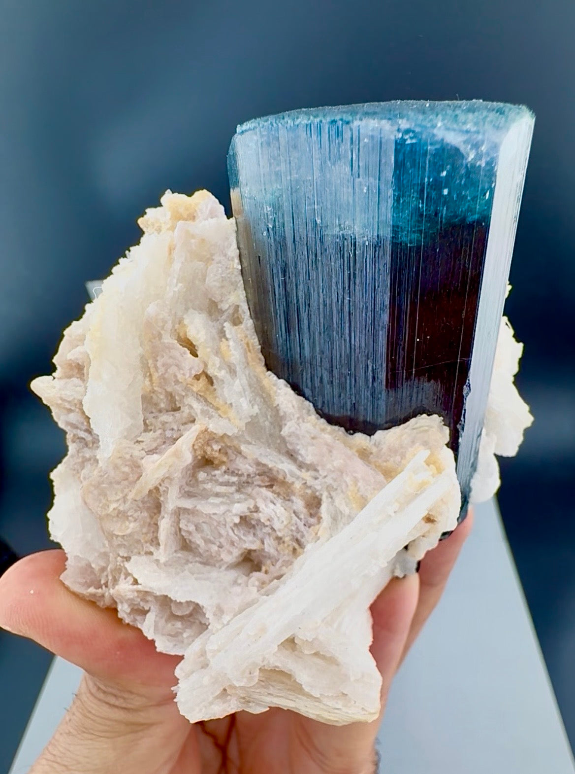 Blue Cap Tourmaline with Cleavlandite Albite from Afghanistan, 310 gran