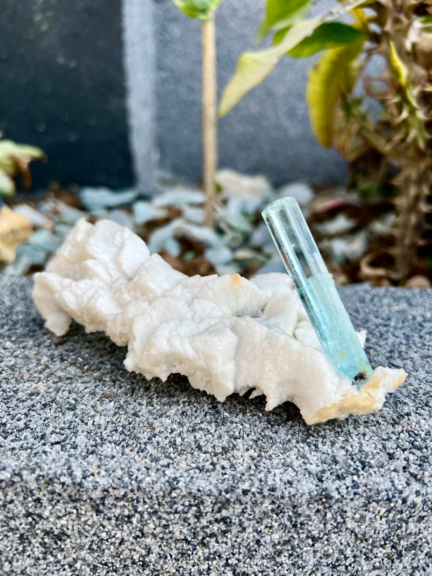 Aquamarine crystal on Albite from Pakistan, 107 gram