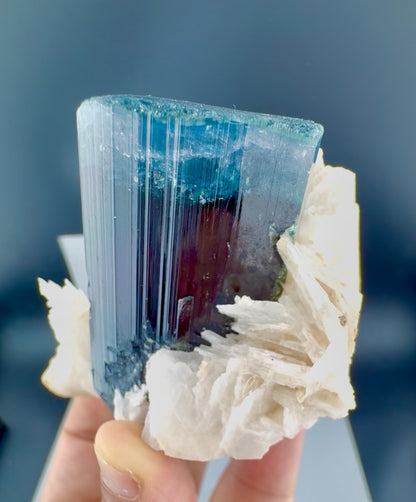 Blue Cap Tourmaline with Cleavlandite Albite from Afghanistan, 310 gran