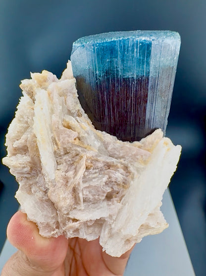 Blue Cap Tourmaline with Cleavlandite Albite from Afghanistan, 310 gran